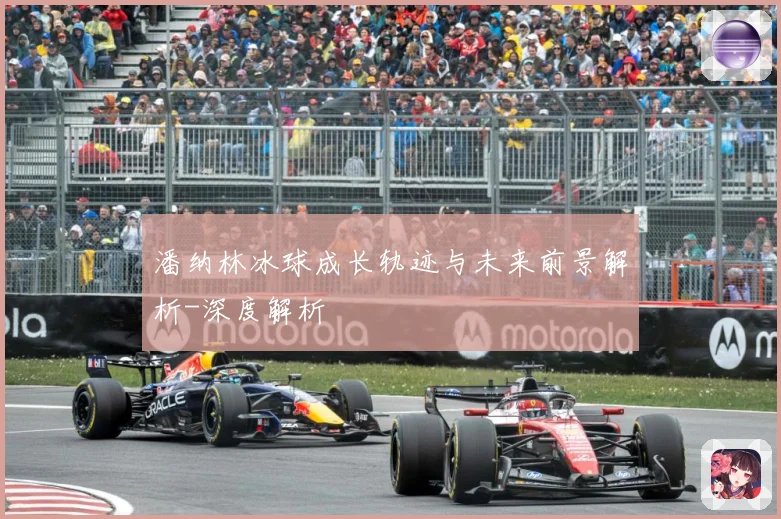 潘纳林冰球成长轨迹与未来前景解析-深度解析